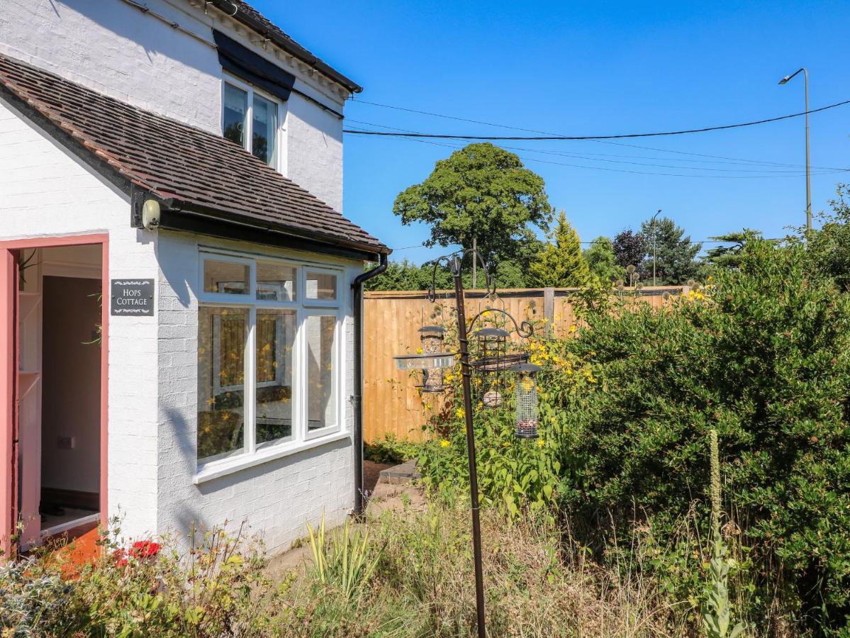Hops Cottage Ашбърн Екстериор снимка